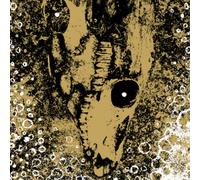 Rise And Fall Our Circle Is Vicious (CD) Album
