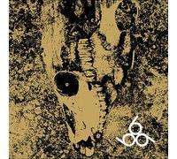 Rise & Fall - Our Circle Is Vicious