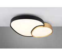 RISE PLAFONIERA A LED 45W 5300lm, 2700 - 6500K FORMA ORGANICA GRANDE NERA E ORO CON TELECOMANDO MULTIFUNZIONE L. 77CM