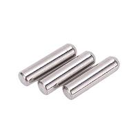 Risegun 100 Perni Cilindrici da 2.5x10mm, in Acciaio inossidabile Cilindrica Perno, Perni per Mensole per mensole, perni di fissaggio, elementi di fissaggio in metallo, colore argento