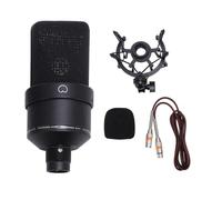 Risegun Microfono a condensatore studio professionale 26 mm diaframma largo XLR microfono di registrazione con supporto antiurto cavo antivento per podcasting canto streaming gi (Nera)