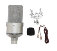 Risegun Microfono a condensatore studio professionale 26 mm diaframma largo XLR microfono di registrazione con supporto antiurto cavo antivento per podcasting canto streaming gi (Oro)