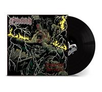 Risen From the Flames (Black Vinyl LP)