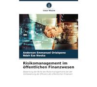 Risikomanagement im öffentlichen Finanzwesen: Bewertung der Rolle des Risikomanagements bei der Verbesserung der Effizienz der öffentlichen Finanzen