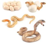 Rismise Ciclo di crescita serpente Cobra ciclo di crescita Modello Figure Giocattolo Mini Cobra Serpente Figura Serpente Ciclo di Vita Figura Giocattolo Educativo Serpente Animale Trucco Rettile