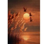 Riso Tramonto Puzzle 3000 Pezzi, 3D Puzzle per Adulti Impegnativo, Educa Puzzles Artistico, Divertente E Stimolante Puzzles Decorativo per La Famiglia, Regalo e Decorazione Pareti FNKL6-246