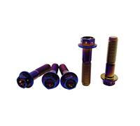 RISON-Bulloni in Titanio con Flangia M10x1.25x73mm, Vite Testa Esagonale Flangia Forato, Viti Esagonali Flangiate GR5 di Fissaggio, Confezione da 5