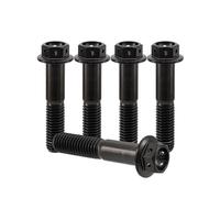 RISON-Bulloni in Titanio con Flangia M6x1.0x30mm, Vite Testa Esagonale Forato, Viti Esagonali Flangiate GR5 di Fissaggio, Confezione da 5