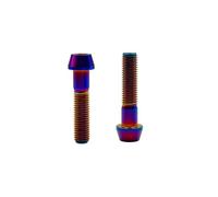 RISON-Titanium 2 Pezzi Viti per Attacco Manubrio della Bicicletta in Titanio M4 M5 M6 M8, Vite a Testa Conica Viti di Fissaggio di Portaborracce Bulloni Stelo per MTB/Bici da Strada