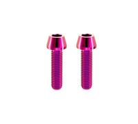 RISON-Titanium 2 viti in titanio per attacco manubrio della bicicletta, M4 | Viti coniche per albero della bicicletta, viti a esagono incassato, bullone per bicicletta da corsa, mountain bike, corsa
