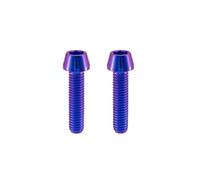 RISON-Titanium 2 viti in titanio per attacco manubrio della bicicletta, M8 | Viti coniche per albero della bicicletta, viti a esagono incassato, bullone per bicicletta da corsa, mountain bike, corsa