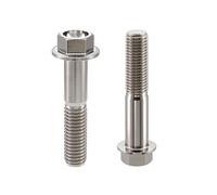 RISON-Titanium 2pcs Bulloni Flangiati Esagonali in Titanio M4 M6 M8 M10, Vite a Testa Esagonale con Flangia Vite di Fissaggio Bulloneria Viti a Brugola per Bici, Moto, Auto