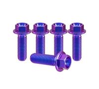 RISON-Titanium 5 Pezzi Bullone Flangiato in Titanio M10x1.25x25mm, Vite a Testa Esagonale con Flangia, Vite di Fissaggio Bulloneria a Flangia Viti a Brugola per Bici, Moto, Auto