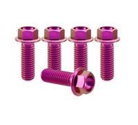 RISON-Titanium 5 Pezzi Bullone Flangiato in Titanio M10x1.25x25mm, Vite a Testa Esagonale con Flangia, Vite di Fissaggio Bulloneria a Flangia Viti a Brugola per Bici, Moto, Auto