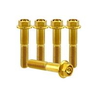 RISON-Titanium 5 Pezzi Bullone Flangiato in Titanio M6x1.0x25mm, Vite a Testa Esagonale con Flangia, Vite di Fissaggio Bulloneria a flangia Viti a Brugola per Bici, Moto, Auto