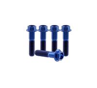 RISON-Titanium 5 Pezzi Bullone Flangiato in Titanio M6x1.0x40mm, Vite a Testa Esagonale con Flangia, Vite di Fissaggio Bulloneria a flangia Viti a Brugola per Bici, Moto, Auto