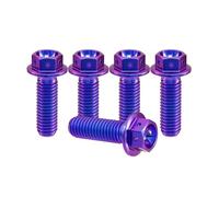 RISON-Titanium 5 Pezzi Bulloni in Titanio con Flangia M10x1.25x25mm, Vite Titanio Testa Esagonale Flangia Forato, Viti Esagonali Flangiate di Fissaggio per Moto