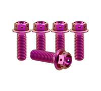 RISON-Titanium 5 Pezzi Bulloni in Titanio con Flangia M10x1.25x25mm, Vite Titanio Testa Esagonale Flangia Forato, Viti Esagonali Flangiate di Fissaggio per Moto