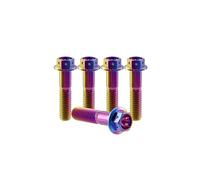 RISON-Titanium 5 Pezzi Bulloni in Titanio con Flangia M10x1.25x55mm, Vite Titanio Testa Esagonale Flangia Forato, Viti Esagonali Flangiate in Titanio GR5 Vite di Fissaggio per Moto