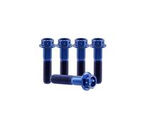 RISON-Titanium 5 Pezzi Bulloni in Titanio con Flangia M6x1.0x20mm, Vite Titanio Testa Esagonale Flangia Forato, Viti Esagonali Flangiate in Titanio GR5 Vite di Fissaggio per Moto