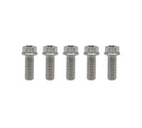 RISON-Titanium 5 Pezzi Viti a Flangia Torx M6x1.0x12mm in Titanio, Bulloni a Testa Flangia Esagonali, Bulloni Fissaggio con Rondella Viti Filettate in Titanio GR5 per Moto, Bicicletta, Auto