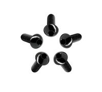 RISON-Titanium 5 Pezzi Viti a Testa Bombata in Titanio con Esagono Incassato M3x10mm, Viti a Brugola Bulloni in Titanio ISO7380, Vite a Testa Semicircolare Vite a Bottone a Testa Tonda per Bici Moto