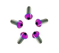 RISON-Titanium 5 Pezzi Viti a Testa Bombata in Titanio con Esagono Incassato M5x10mm, Viti a Brugola Bulloni in Titanio ISO7380, Vite a Testa Semicircolare Vite a Bottone a Testa Tonda per Bici Moto