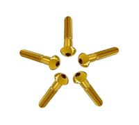 RISON-Titanium 5 Pezzi Viti a Testa Bombata in Titanio con Esagono Incassato M5x25mm, Viti a Brugola Bulloni in Titanio, Vite a Testa Semicircolare Vite a Bottone a Testa Tonda per Bici Moto