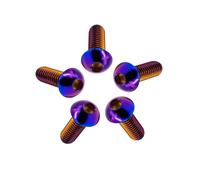RISON-Titanium 5 Pezzi Viti a Testa Bombata in Titanio con Esagono Incassato M6x25mm, Viti a Brugola Bulloni in Titanio ISO7380, Vite a Testa Semicircolare Vite a Bottone a Testa Tonda per Bici Moto