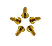 RISON-Titanium 5 Pezzi Viti a Testa Bombata in Titanio con Esagono Incassato M6x30mm, Viti a Brugola Bulloni in Titanio ISO7380, Vite a Testa Semicircolare Vite a Bottone a Testa Tonda per Bici Moto