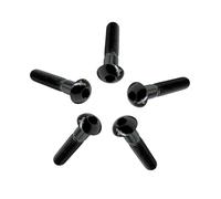 RISON-Titanium 5 Pezzi Viti a Testa Bombata in Titanio con Esagono Incassato M6x30mm, Viti a Brugola Bulloni in Titanio, Vite a Testa Semicircolare Vite a Bottone a Testa Tonda per Bici Moto