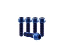 RISON-Titanium Bici Stelo Bulloni in Titanio M6x1.0x10mm, 5pcs Viti per Attacco Manubrio Bicicletta, Vite a Testa Conica Viti Fisse per Stelo Bici, Vite di Fermo Vite per Gambo per MTB/Bici da Strada