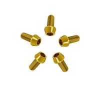 RISON Titanium Bolts Ti Bolt M5*0.8 * 16 Hex Tapered Socket Head 5Pcs Oro Titanium Hex Tapered Head Vite per il gambo della bici M5x0.8x8 10 12 15 16 18 20 25 30 35 40mm