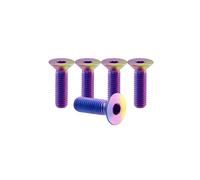 RISON-Titanium Bulloni a Testa Svasata in Titanio GR5 M6x1.0x20mm, Viti a Testa Piatta con Esagono Incassato, Viti a Testa Brugola Bullone Meccanico Viti Filettate per Bicicletta, MTB, 5 Pezzi