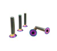 RISON-Titanium Bulloni a Testa Svasata in Titanio GR5 M8x1.25x30mm, Viti a Testa Piatta con Esagono Incassato, Viti a Testa Brugola Bullone Meccanico Viti Filettate per Bicicletta, MTB, 5 Pezzi