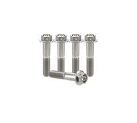 RISON-Titanium Bulloni in Titanio con Flangia M8x1.25x25mm, Vite Titanio Testa Esagonale Flangia Forato, Viti Esagonali Flangiate in Titanio GR5 Vite di Fissaggio, Confezione da 5