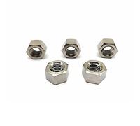 RISON-Titanium Dado in Titanio M8x1.25mm, 5 Pezzi Esagonale Autobloccanti in Lega di Titanio DIN934, di Arresto e Bloccaggio Filettati per Viti, Bulloni e Barre Filettate