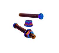 RISON-Titanium Set di 2 viti in titanio, viti di regolazione dell'asse M8 x 1,25 x 53 mm, viti di regolazione in titanio esagonale e dado per moto