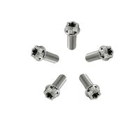 RISON-Titanium Viti in Titanio M10x1.25x25mm, 5 Pezzi Viti a Flangia Torx, Bulloni Flangiate Esagonali, Bulloneria Fissaggio con Rondella Viti a Macchina Filettate per Moto, Bicicletta, Auto