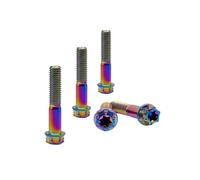 RISON-Titanium Viti in Titanio M10x1.25x55mm, 5 Pezzi Viti a Flangia Torx, Bulloni Flangiate Esagonali, Bulloneria Fissaggio con Rondella Viti a Macchina Filettate per Moto, Bicicletta, Auto