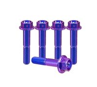 RISON-Titanium Viti in titanio M6 x 1,0 x 30 mm, viti a flangia in titanio, viti esagonali, viti in titanio, viti per pinza del freno, viti per auto