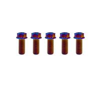 RISON-Titanium Viti in Titanio M6x1.0x18mm, 5 Pezzi Viti a Flangia Torx, Bulloni a Testa Flangia Esagonali, Bulloni Fissaggio con Rondella Viti Filettate in Titanio GR5 per Moto, Bicicletta, Auto