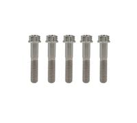 RISON-Titanium Viti in Titanio M6x1.0x28mm, 5 Pezzi Viti a Flangia Torx, Bulloni a Testa Flangia Esagonali, Bulloni Fissaggio con Rondella Viti Filettate in Titanio GR5 per Moto, Bicicletta, Auto