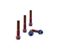 RISON-Titanium Viti in Titanio M8x1.25x50mm, 5 Pezzi Viti a Flangia Torx, Bulloni Flangiate Esagonali, Bulloneria Fissaggio con Rondella Viti a Macchina Filettate per Moto, Bicicletta, Auto