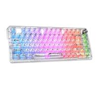 RisoPhy Tastiera meccanica a tre modalità completamente trasparente opaca, sostituibile a caldo, illuminazione fredda RGB a 81 tasti, adatta per pc/mac/computer (bianco)