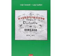 Risorgimento nel distretto di Gonzaga (1830-1875)