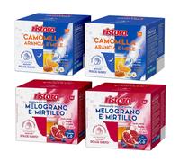 40 Capsule Ristora Compatibili Dolce Gusto Melograno e Mirtillo