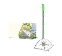 Risveglio Acchiappasogni per ragni con manico lungo 82 cm, regolabile, senza contatto, per ragni, lucertole, insetti, senza danni, in acciaio inox, con scatola trasparente, verde