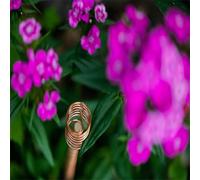 Risveglio Confezione da 6 pali da giardino in rame per elettrocoltura, 30,5 cm, supporto per piante con filo a spirale per ortaggi, fiori, erbe