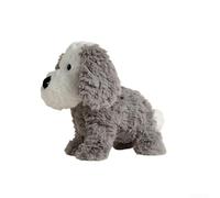 Risveglio per Smart Robotic Dog Programmabile AI per il compagno Sensore di Tocco Elettronico Pet con Canzoni Storie USB-C 28cm(B)